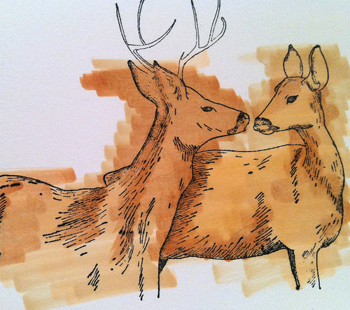 smiling deers