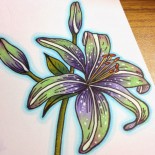 what would nature say –  a coloring tutorial