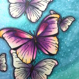 Day 25. Spot light butterflies
