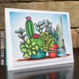 DAY 24. Giveaway!