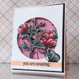 Dimensional Window Cards-Video
