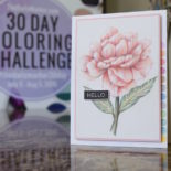 Day 30. No Line Coloring & Giveaway