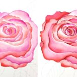 Day 4. Distress Ink Watercoloring & Giveaway