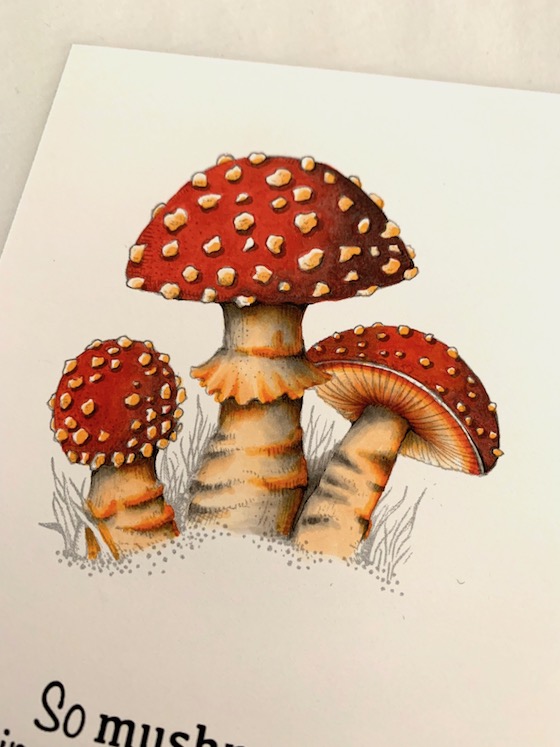 Product review: DecoTime Colouring Pencils • – Mushrooms & Moths